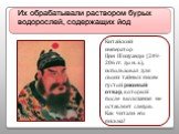 Их обрабатывали раствором бурых водорослей, содержащих йод. Китайский император Цин Шихуанди (249-206 гг. до н. э.), использовал для своих тайных писем густой рисовый отвар, который после высыхания не оставляет следов. Как читали его письма?