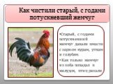 Как чистили старый, с годами потускневший жемчуг. Старый, с годами потускневший жемчуг давали вместе с зерном курам, уткам и голубям. Как только жемчуг из зоба попадал в желудок, птиц резали