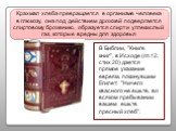 Крахмал хлеба превращается в организме человека в глюкозу, она под действием дрожжей подвергается спиртовому брожению, образуется спирт и углекислый газ, которые вредны для здоровья. В Библии, "Книге книг", в Исходе (гл.12, стих 20) дается прямое указание евреям, покинувшим Египет: "Н