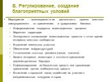 Б. Регулирование, создание благоприятных условий. Мероприятия – целенаправленная деятельность органов местного самоуправления по привлечению и «удержанию» бизнеса: Информационная поддержка инвестиционного процесса Маркетинг территории Экспертиза и согласование инвестиционных проектов с точки зрения 