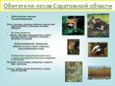 Обитатели лесов Саратовской области