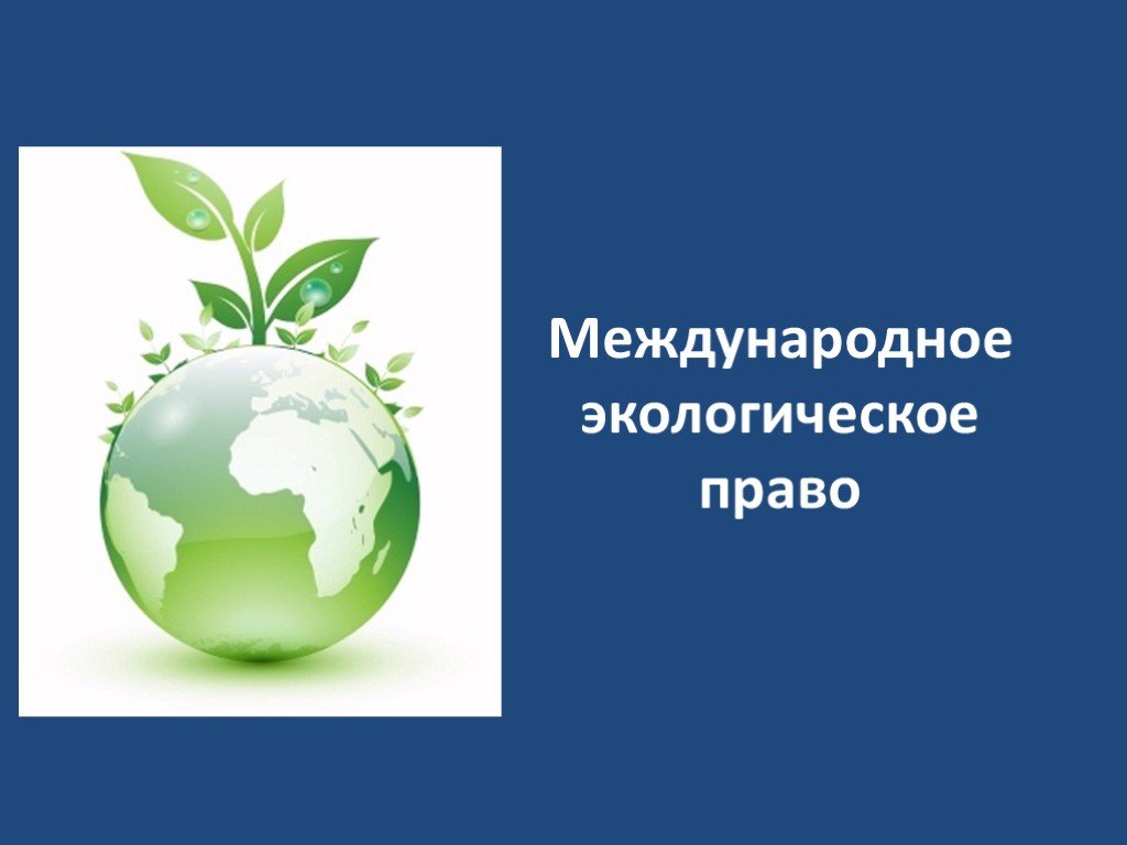 Международное экологическое развитие