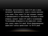 Личинки вылупляются через 2-4 дня и сразу начинают формировать ходы в самом верхнем слое кожи. Еще через 3-4 дня личинки линяют и превращаются в протонимф, которые в свою очередь линяют через 2-5 дней в телеонимфу. Телеонимфа развивается во взрослого самца или самку через 5-6 дней. Итого формировани