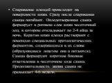 Спаривание клещей происходит на поверхности кожи. Сразу после спаривания самцы погибают. Оплодотворенная самка формирует в роговом слое кожи чесоточный ход, в котором откладывает по 2-4 яйца за ночь. Кератин кожи клещи растворяют с помощью специальных протеолитических ферментов, содержащихся в их сл