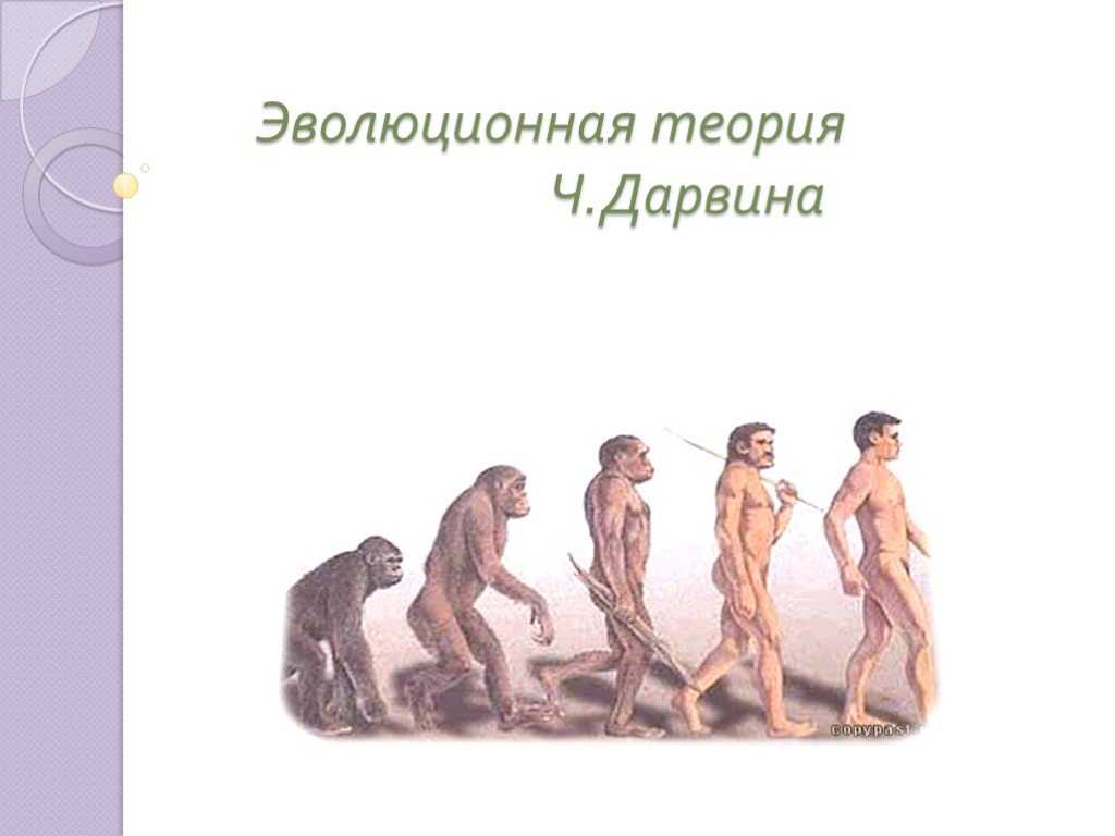 Доказательства эволюции животного мира учение ч дарвина об эволюции презентация 7 класс