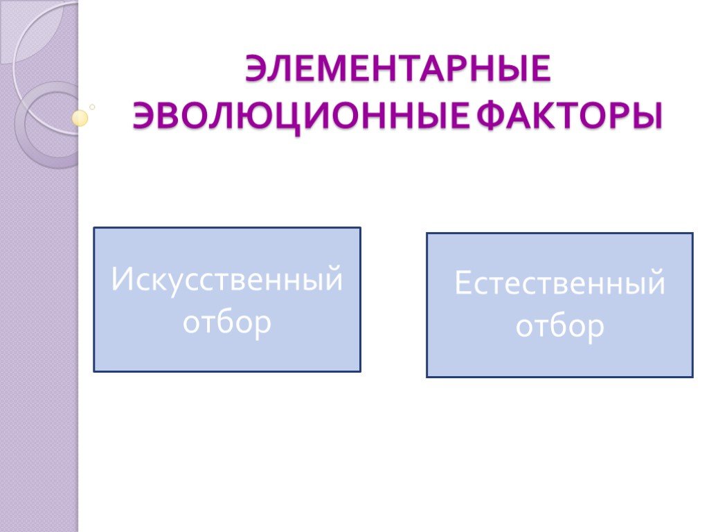 Элементарные эволюционные факторы. Элементарные эволюционные факторы презентация. Элементарные эволюционные факторы схема. Элементарные эволюционные факторы 9 класс презентация.