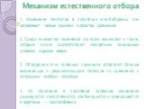 Механизм естественного отбора. 1. Изменения генотипов в популяции многообразны, они затрагивают любые признаки и свойства организмов. 2. Среди множества изменений случайно возникают и такие, которые лучше соответствуют конкретным природным условиям в данное время. 3. Обладатели этих полезных признак