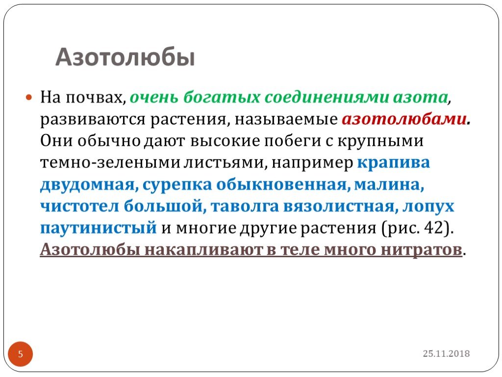 Обычной данном. Азотолюбы. Азотолюбы примеры. Презентация на тему растения Азотолюбы. Какие растения называют азотолюбами.