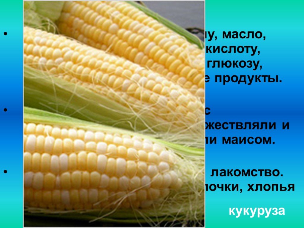 Приведи пример культурного растения пришедшего из дальних. Культурные растения которые из других стран. Культурное растение пришедшее к нам. Культурные растения дальних стран. Культурное растение из дальних стран.