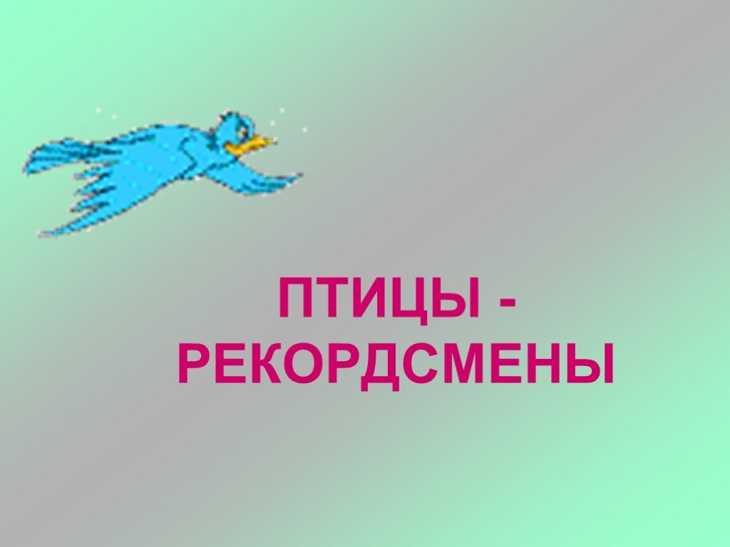 Птицы рекордсмены