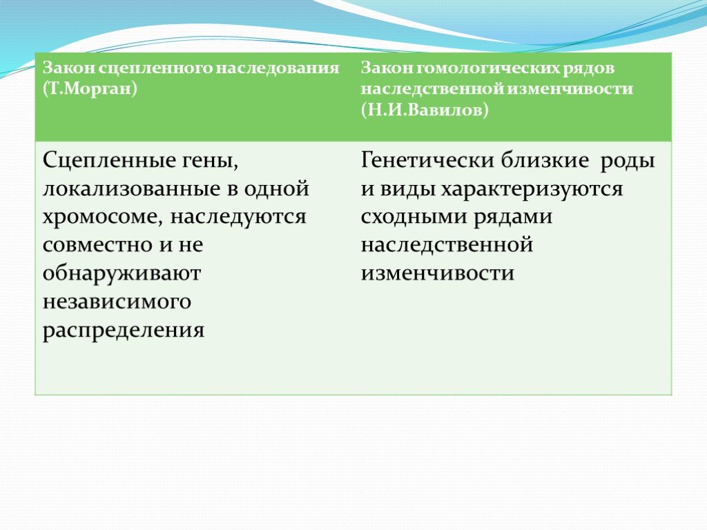 Наследственность и изменчивость презентация 11 класс