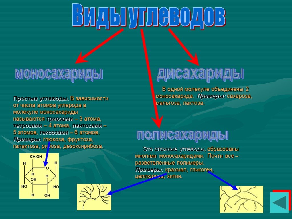 3 типа углеводов