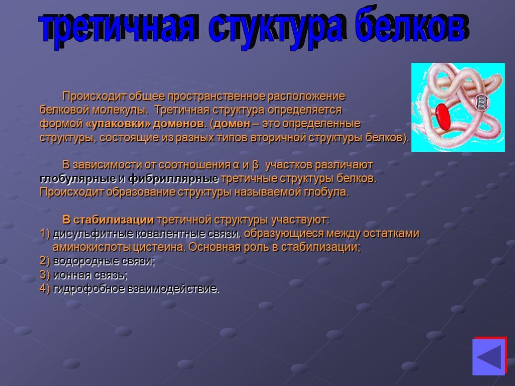 В общем происходит. Биополимеры 9 класс.