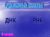 ДНК РНК