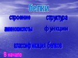 строение структура функции аминокислоты. классификация белков. В начало