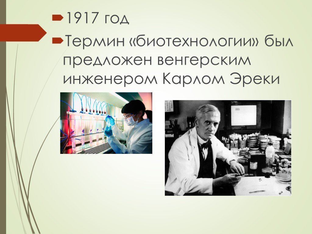 Презентация биотехнологии 11 класс презентация