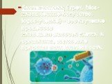 Биотехнологии ( греч. bios- жизнь, techne-искусство, logos-учение) – это изучение процессов жизнедеятельности клетки и организма., выяснение природы наследственности.
