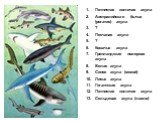 Пятнистая колючая акула Австралийская бычья (рогатая) акула ? Песчаная акула ? Кошачья акула Гренландская полярная акула Белая акула Синяя акула (мокой) Лисья акула Гигантская акула Пятнистая колючая акула Сельдевая акула (ламна)