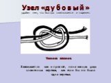 Узел «д у б о в ы й » удобен тем, что быстро завязывается и надежен. Техника вязания. Завязывается как и простой, но на концах двух сложенных веревок, как если бы это была одна веревка.