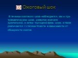 В течении ожогового шока наблюдается, как и при травматическом шоке, развитие вначале эректильной, а затем торпидной фазы шока, а также различаются 4 степени тяжести в зависимости от обширности ожогов