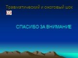 Травматический и ожоговый шок. СПАСИБО ЗА ВНИМАНИЕ