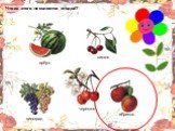 Фрукты овощи ягоды Слайд: 19