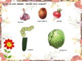 Какой из этих овощей нельзя есть сырым?. огурец капуста чеснок картофель редис