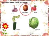 Фрукты овощи ягоды Слайд: 5