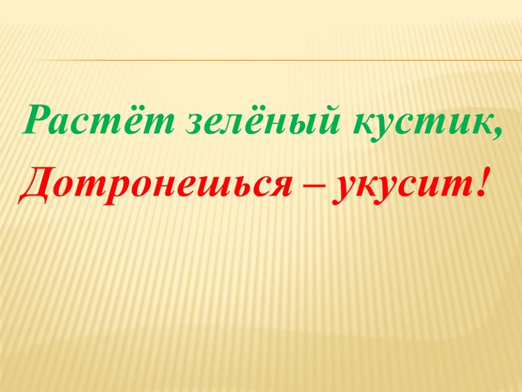 Расту 9. Растёт зелёный кустик дотронешься укусит. Загадка растет зеленый кустик дотронешься укусит. Растёт зелёный кустик дотронешься. Растет укусит зеленый кустик.