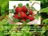 Клубника – это садовая ягода красного цвета, она одна из первых созревает на грядке. Клубника очень полезна, так как в ней содержится много витаминов и минералов.