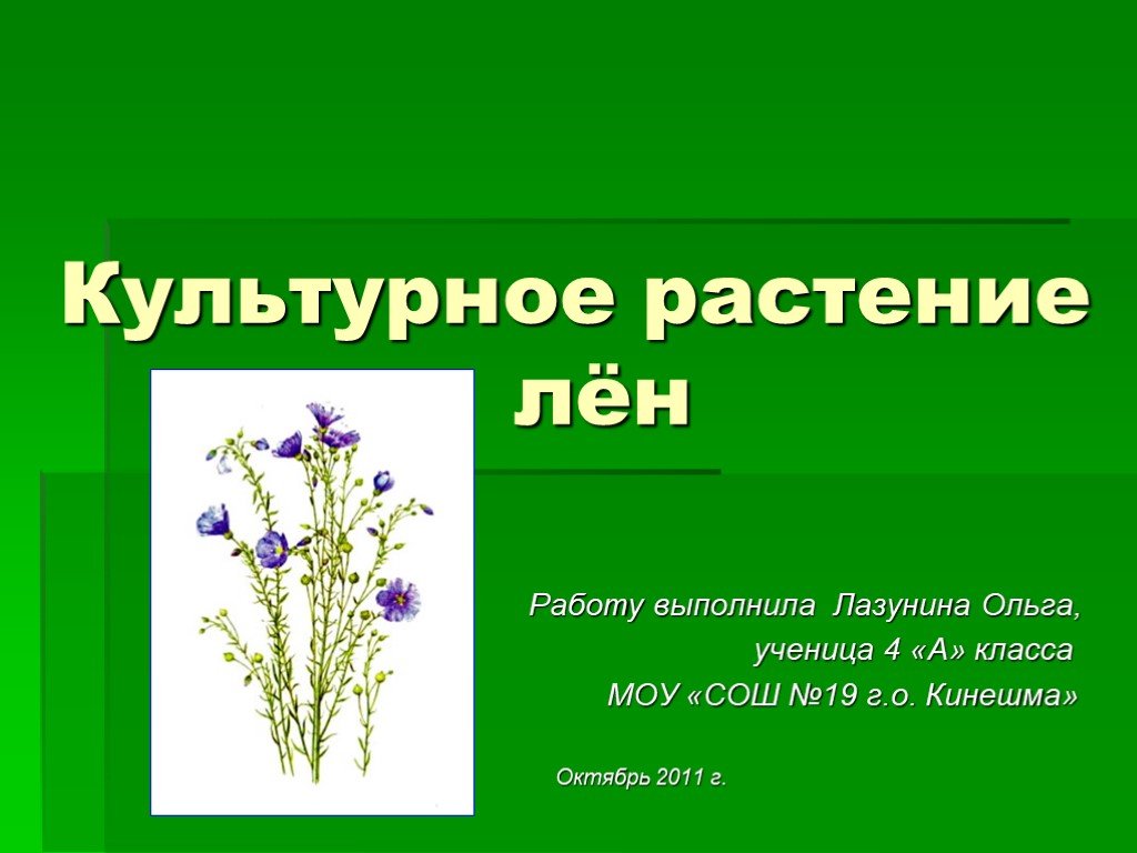 Проект про растения культурные