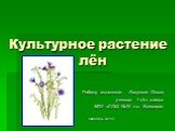 Культурное растение лён. Работу выполнила Лазунина Ольга, ученица 4 «А» класса МОУ «СОШ №19 г.о. Кинешма» Октябрь 2011 г.