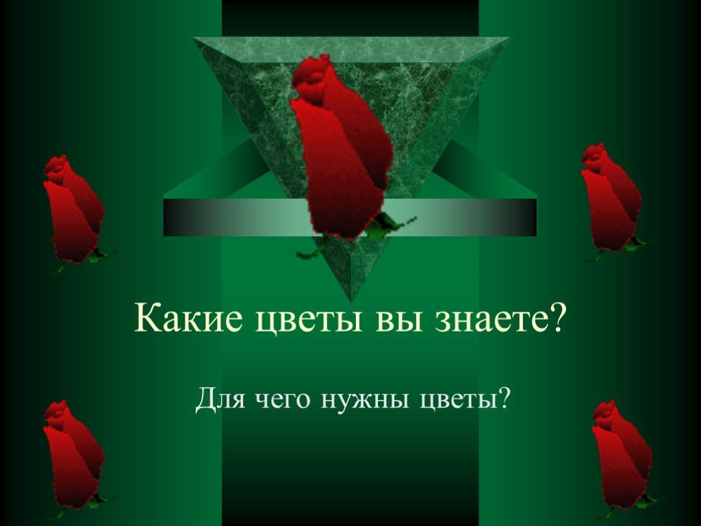 Цветок знает. Для чего нужны цветы. Какие цветы вы знаете. Поболтаем о цветке. Для чего нужны цветам цветки.