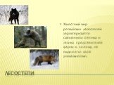 Лесостепи. Животный мир российских лесостепей характеризуется смешением степных и лесных представителей фауны и, поэтому, не выделяется свой уникальностью.