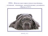 ТЕМА: Добровольное страхование породистых, племенных животных, принадлежащих гражданам (Правила №35). МИНСК, 2011