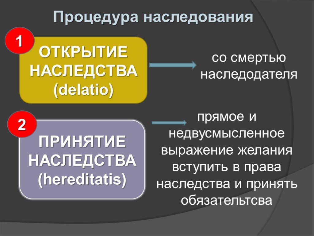 Схема принятия наследства