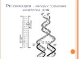 Репликация –процесс удвоения молекулы ДНК