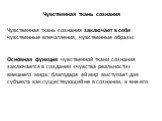 Чувственная ткань сознания заключает в себе чувственные впечатления, чувственные образы. Основная функция чувственной ткани сознания заключается в создании «чувства реальности» внешнего мира: благодаря ей мир выступает для субъекта как существующий не в сознании, а вне его. Чувственная ткань сознани