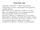 Совместный труд Совместный труд является главной предпосылкой возникновения сознания, включающий в себя разделение трудовых функций. Одни члены группы осуществляют активность, которая ведет к непосредственному биологическому результату, например добывают животное для питания. Другие же совершают, на