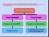 Основные этапы биосинтеза белка:(смотри рис. 34 учебника)