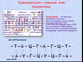 Транскрипция – первый этап биосинтеза. – Т – А – Ц – Г – А – Г – Ц – Т –. – А – У – Г – Ц – У – Ц – Г – А –. цепь ДНК (матрица) . . . . . цепь иРНК. Транскрипция – это реакция матричного синтеза, заключающаяся в считывании информационной РНК генетической информации с ДНК (т.е. это процесс образовани