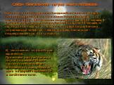 Среди бенгальских тигров много людоедов. И, тем не менее, тигры в Индии охраняются. Причинами распространения тигров-людоедов в Индии послужило интенсивное уничтожение лесов, неумелая охота на зверей: покалеченные в озлоблении мстят. Например, в индийском штате Западная Бенгалия численность тигра пр