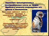 Из-за резкого сокращения ареала и численности тигр занесен в международную «Красную книгу» редких и исчезающих млекопитающих. Усиленное преследование и неограниченная охота на тигров привели к резкому сокращению его ареала и численности. Меньше полувека назад в мире жило восемь подвидов тигра. Сегод