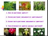 2. Какие растения называются цветковыми? 1. Все ли растения цветут? 3. Какая часть растения называется цветком? 4. Чем отличаются цветки разных растений?