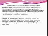 Иммуностимуляторы животного происхождения: Препараты тимуса - действующим началом являются тимические гормоны. Усиливают реакции клеточного иммунитета. Стимулируют пролиферацию и дифференцировку Т-лимфоидных клеток. Увеличивает количество и активность Т-лимфоцитов, это ведет к вторичному усилению ан