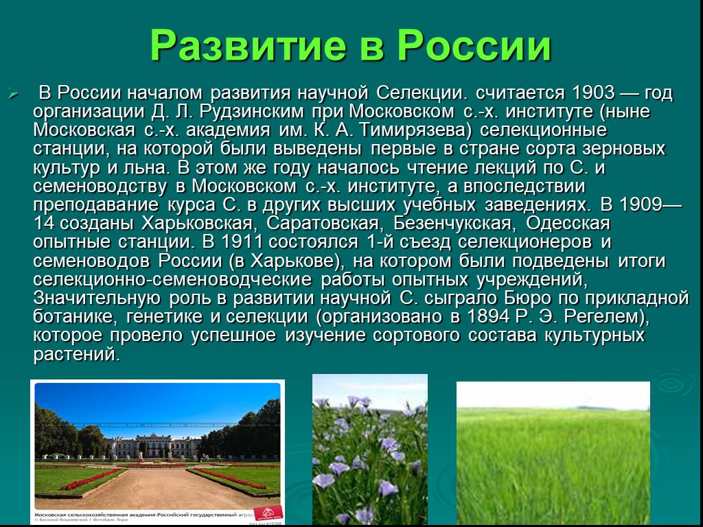 История селекции с древних времен до настоящего времени презентация