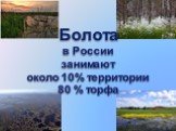 Болота в России занимают около 10% территории 80 % торфа