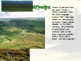 Тундра. Tundra is derived from the word "Tunturi", which translated from the Sami language means "hill" - low tops, which are not covered by forest. Tundra plants adapted to the short summer, the proximity of permafrost and wetland soils. In the short summer months tundra turns i