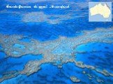 Grande Barrière de corail - Queensland