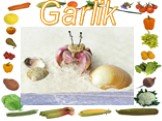 Garlik